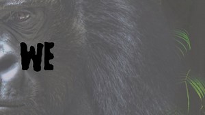 Will Sparks, Tyron Hapi & LUCIANA bringing a Gorilla you can keep safe in your collection! https://spinninrecords.lnk.to/Gorilla!FBSR | Spinnin' Records