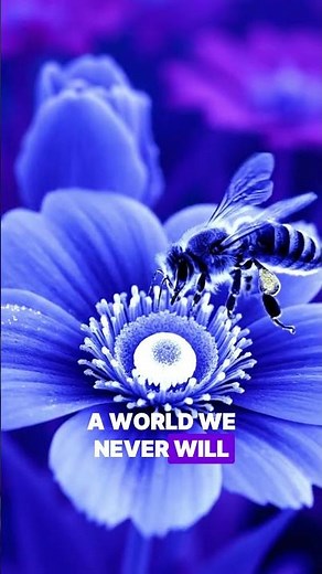 5 Bee Facts That Will Change How You See Bees Forever