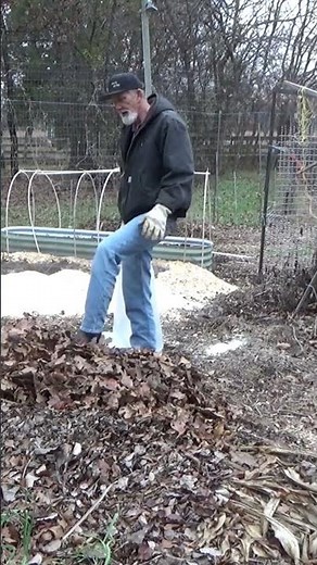 Mulching with leaves