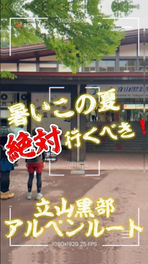 【夫婦登山：番外編】立山黒部アルペンルート＠富山県【避暑地：北アルプス】高山植物が咲く散策路 / 雄大な立山連峰