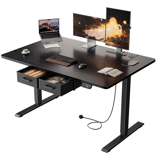 Ebern Designs Electric Standing Desk with Built-in Outlet & Storage Drawer, 46.06" Adjustable Height Computer Desk with 2 Memory Modes,Stable Sit-Stand Desk with Charging Station,Spacious Workstation for Home Office | Wayfair