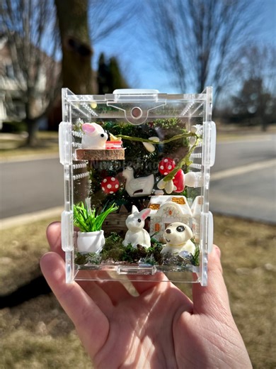 Mini Temporary Jumping Spider Enclosure! 3.15 X 2.76 X 3.94 Inches! READ DESCRIPTION! - Etsy