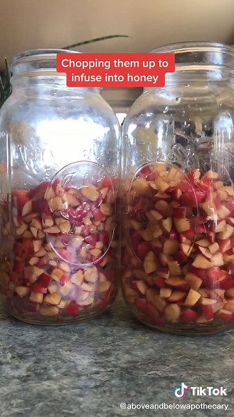 Crab Apple Picking and Infusion Process