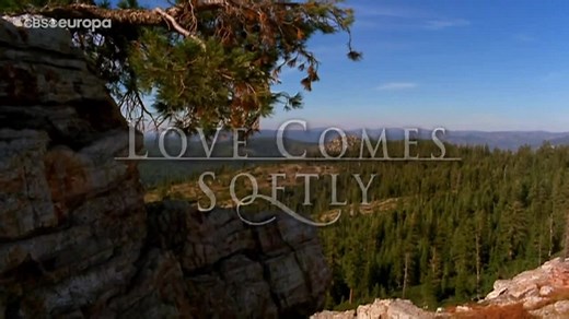 1* Miłość przychodzi powoli [Love Comes Softly] (2003) LektorPL