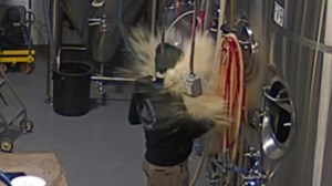 Video shows Minnesota brewer blasted backward by beer