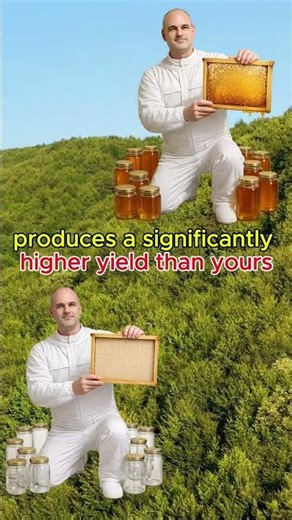 Apiary Location: The Invisible Factors of Honey Yield #beekeeping #honeybees #beekeepingeducation