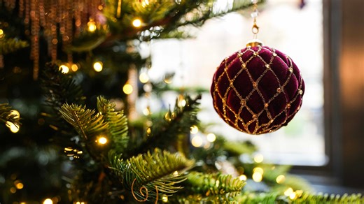 Try these tips to care for a live Christmas tree