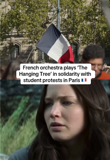 A French orchestra in Paris performed ‘The Hanging Tree’ from ‘The Hunger Games’ whilst reportedly getting teargassed at Place de la République in solidarity with student protestors in France 🇫🇷 #thehungergames #hungergames #hangingtree #protest #france