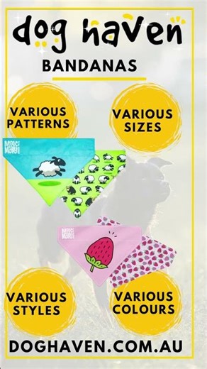 There is a wide variety of Bandana styles, colors, patterns and sizes | doghaven.com.au