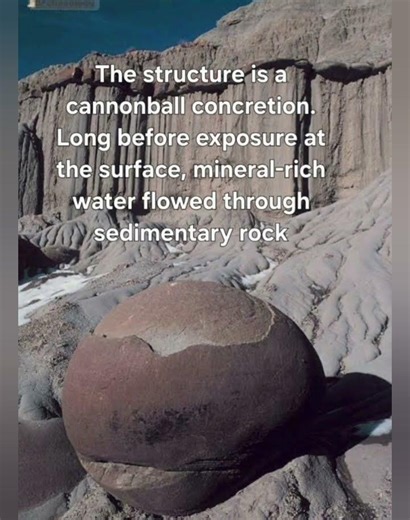 Biggest World Cup Stands Roughly 33 feet, or 10 meters, tall, Valley Of The Rocks, Bolivia