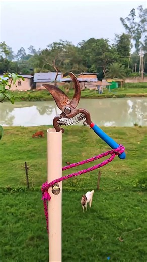 Genius Trick to Cut High Tree Branches! 🌳✂️