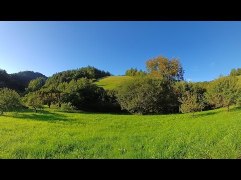 New NotePerformer 5.1: Short Pieces For Orchestra Op. 17.2 No. 2 – Comforted