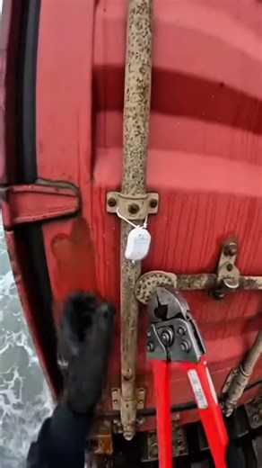 Look what we found #container #tesla #car #luxury #fyp