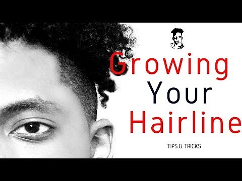 How To Grow Your Hairline Back / Barber Tips