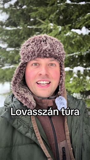 Kivel jönnél? 🐎🐴😍 #lovasszán #erdély #szekelyföld #borzont #élmény TikTok