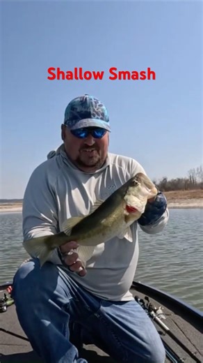 Shallow Bass CRUSH a Swimbait! #fishing #fishingshorts #bassfishing #cgwhackem
