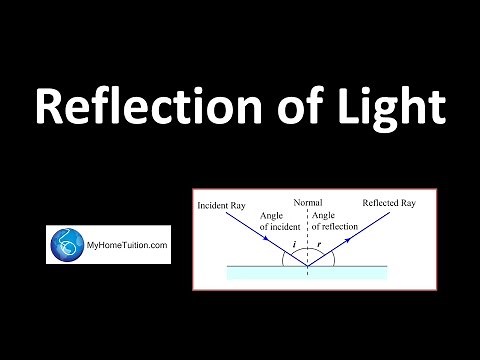 The Laws of Reflection | Light and Optics
