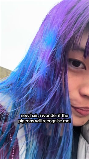 Pigeons Can Recognize Faces: Fascinating Animal Behavior