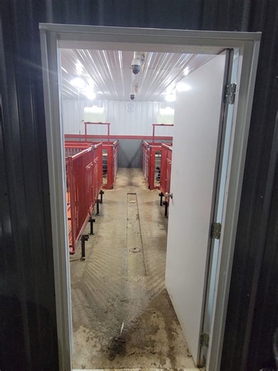 finally got the new farrowing barn all set up and 100% moved in. now time to let the piggies grow. @farmallgirl95 #outwiththeoldinwiththenew #farmlife #pigs #piglets #farming