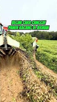 Begini Cara Canggih Panen Kacang di Jerman #faktaunik #sains #sainsasyik