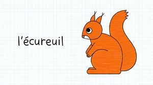 Un dessin d’écureuil facile à faire - La Salamandre