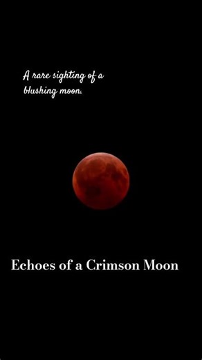 #moon #lifeisbutadream #nature