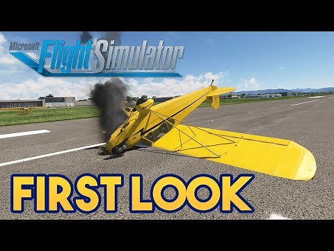 Microsoft Flight Simulator - Piper J-3 Cub FIRST LOOK