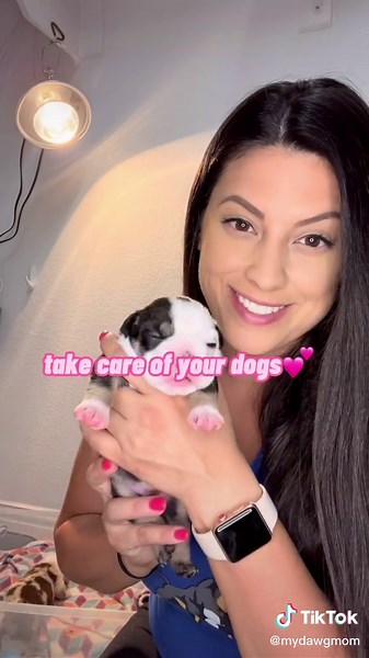 Burping Your Newborn Puppy Guide