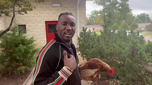 395K views · 12K reactions | Gore are Jongwe, chamisa takamudosera  | Passion Java | Facebook