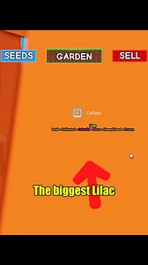 I stole the biggest lilac in grow a garden #growagarden #viralpost2025シ #robloxfyp #robloxgames #viral #roblox | jhon official