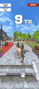 İmpossible Animal Racing Simulator 2025 Gameplay