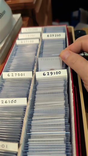 how I keep inventory of coins