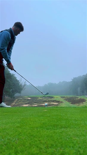 Filthy little thing #pullcut #stingersgetmingers #pure #fyp #bombs