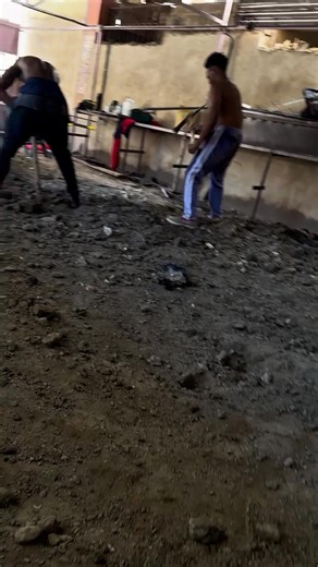 Ultimate Pool Experience at Juja Gate A