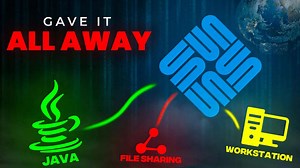 When kindness backfires - the tragic tale of Sun Microsystems