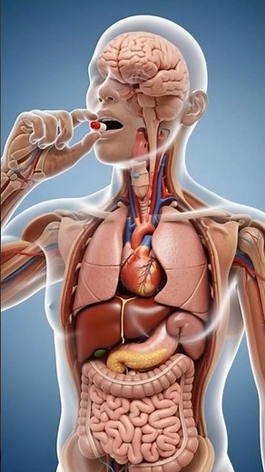 💊 What Happens When You Take Medicine? | 3D Human Body Animation Explained