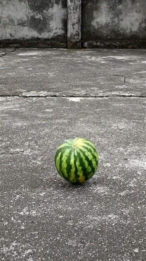 Watermelon Fall Test 🍉 Ultra Satisfying Fruit Break