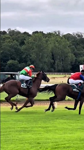 Thunder Hooves in Action | Intense Horse Racing Moment 🐎🔥#shortsfeed #horse #shots #aww #horoscope