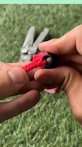 Paul & Friends on Reels