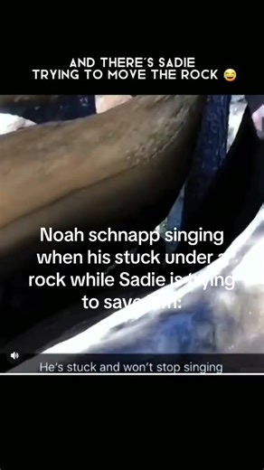 Noah Schnapp's Singing Scene in Stranger Things