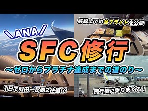【SFC修行】ANA プラチナ達成までの全フライトの様子！
