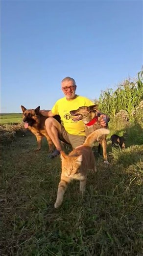 🌾 Otava-i uscată-n brazdă… iar ei nu mă lasă niciodată singur! 🐾❤️