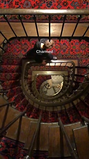 Now you’re gone #newmusic #electropopmusic #aesthetics