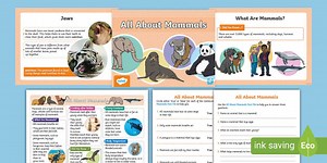 KS1 All About Mammals Fact File Activity Pack