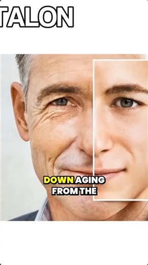 Epitalon explained, the peptide that may slow aging...