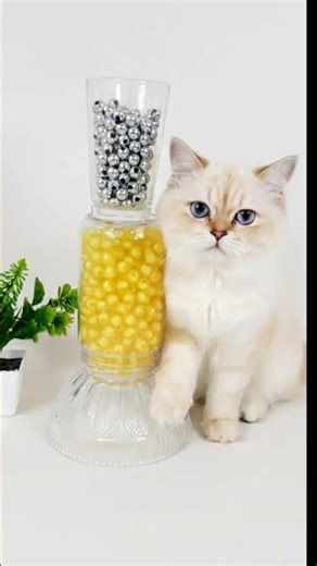 Very satisfying to watch Mindful ASMR Relaxation | Reverse Beads Loop #reversevideo #asmrshorts