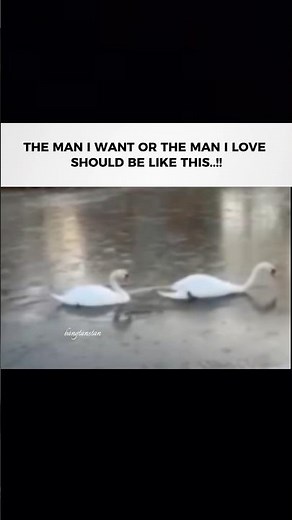 😌✨#bts #shortsfeed #shorts #trending