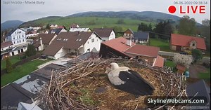 【LIVE】 Live Cam Stork's Nest - Mladé Buky | SkylineWebcams