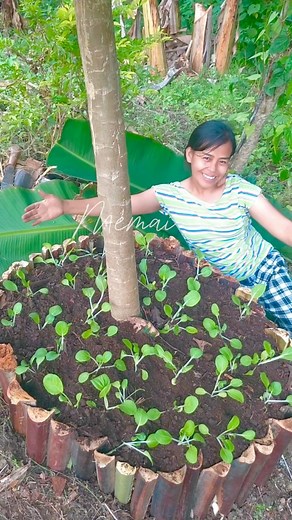 Planting ideas 🌱💚#Memai | Me mai