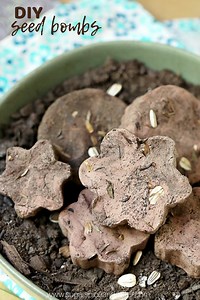 DIY Seed Bombs (with Video) ⋆ Sugar, Spice and Glitter